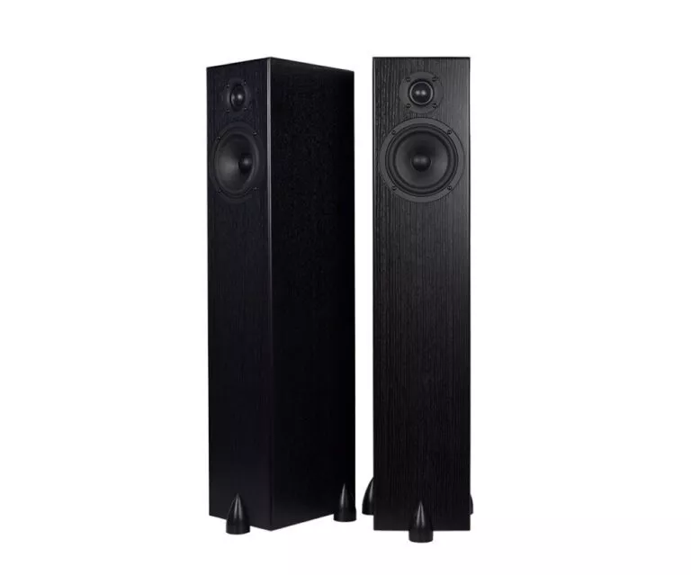 Totem Acoustic Bison Tower noir