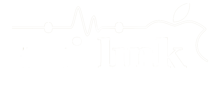 HIFI LINK Lyon Geneve Annecy, Grenoble