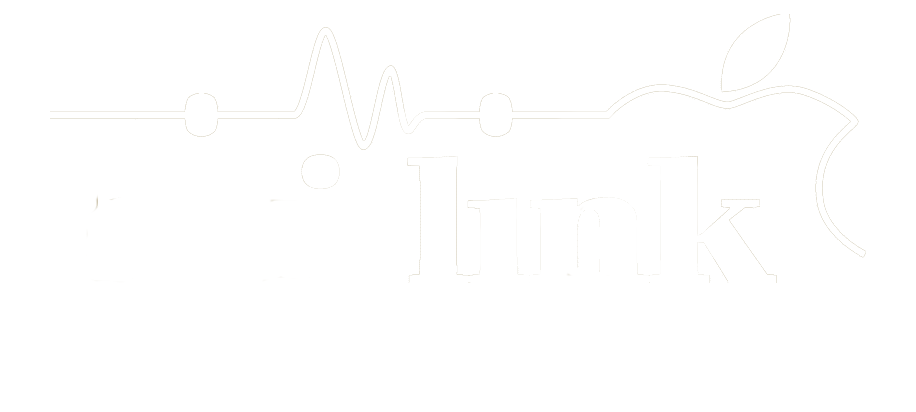 HIFI LINK Lyon Geneve Annecy, Grenoble