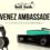 ambassadeur hifi link