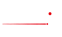 ds audio description